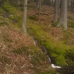 Landgasthof Waldfrieden 게스트하우스