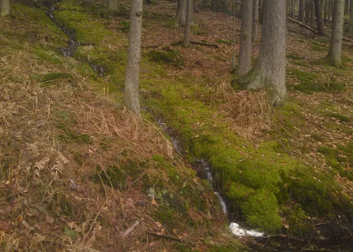 Landgasthof Waldfrieden Konukevi
