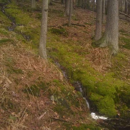 Landgasthof Waldfrieden Guest house